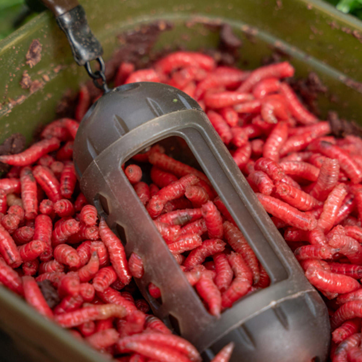 Korum Window Maggot Feeder Large