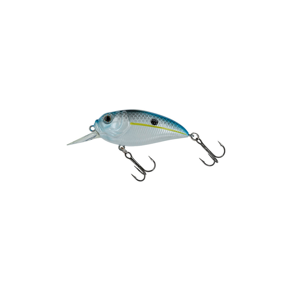 Molix Sculpo MR Rattlin