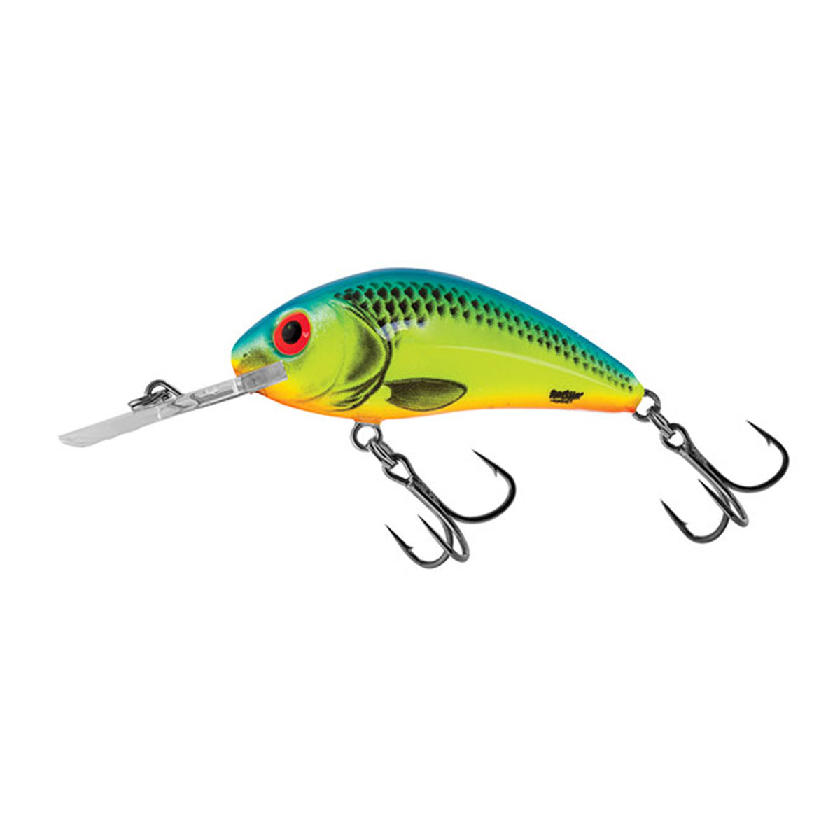Salmo Rattlin' Hornet flottant 6,5 cm