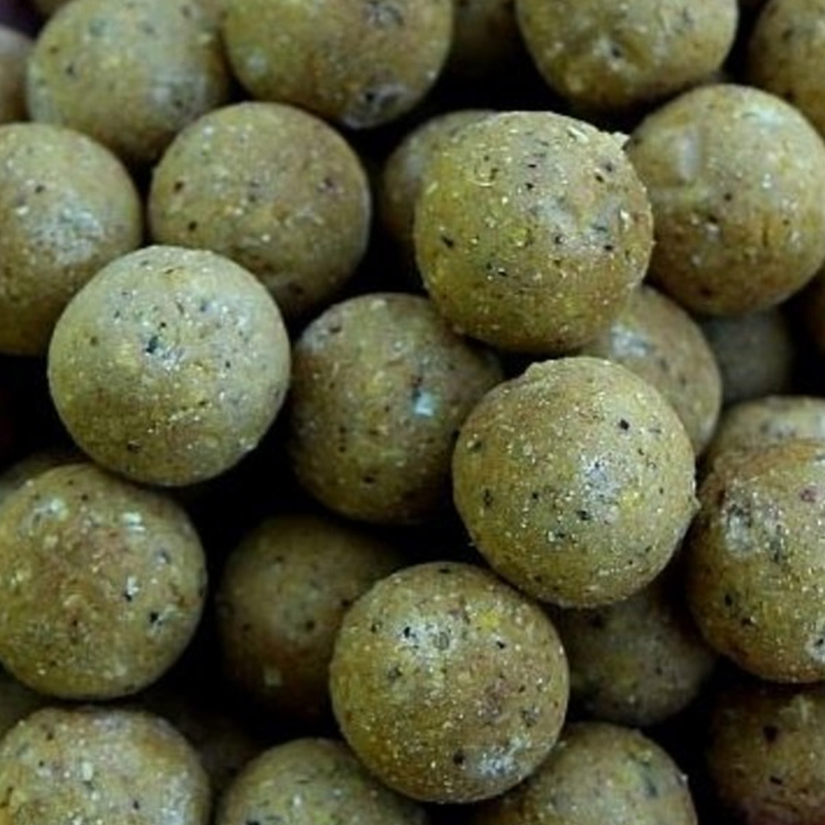 MTC Baits Shelf Life Ester & Cream 1 KG 