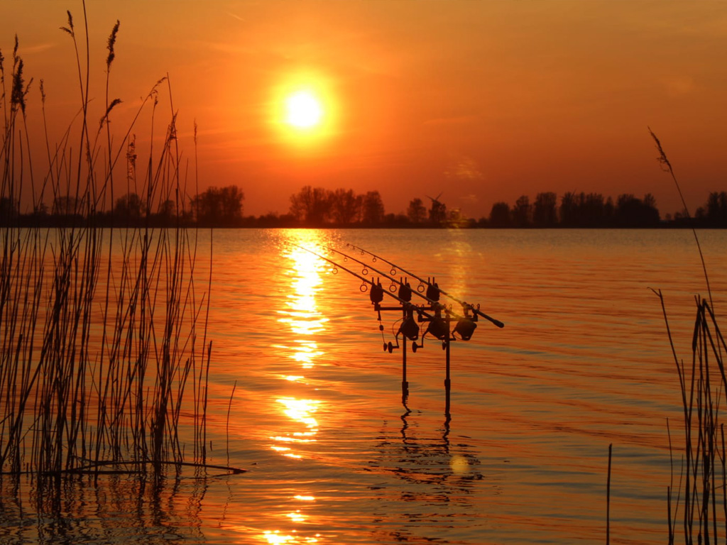 's Nacht vissen op karper met beetmelders