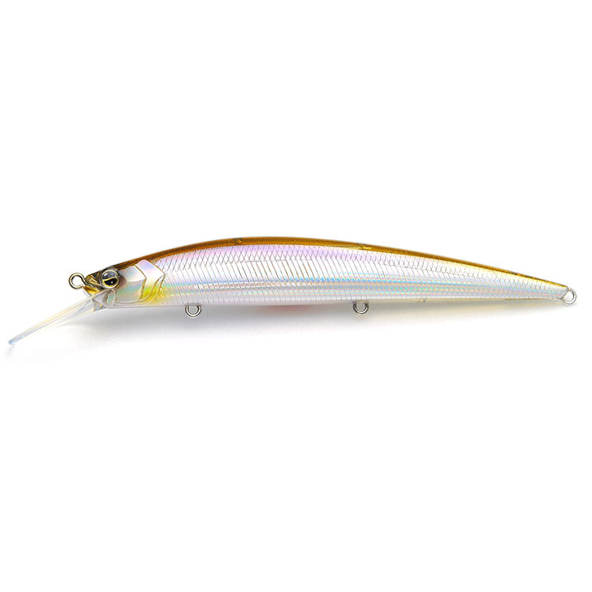 Raid Japan Level Minnow Plus