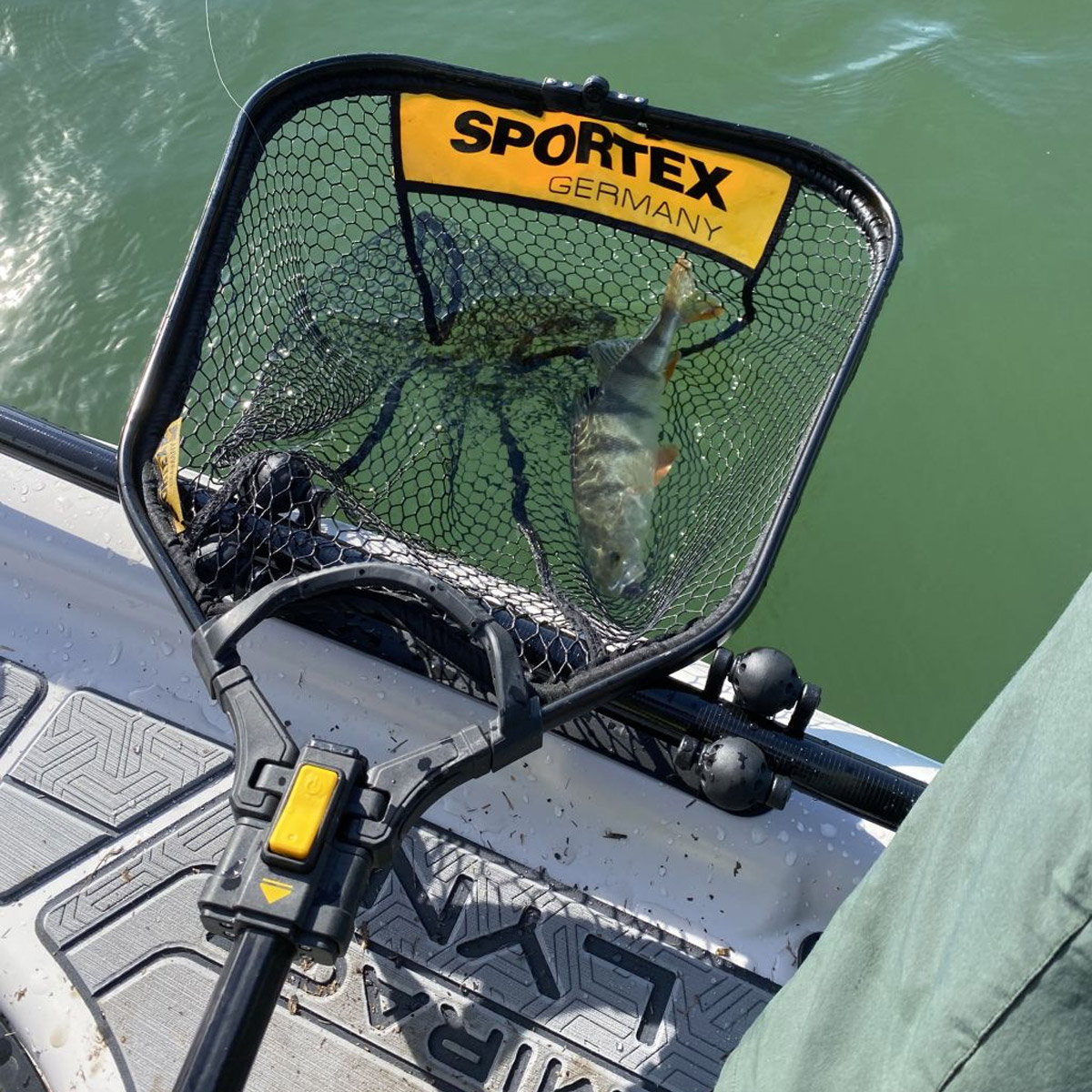 Sportex Predator Landing Net 70x60 CM