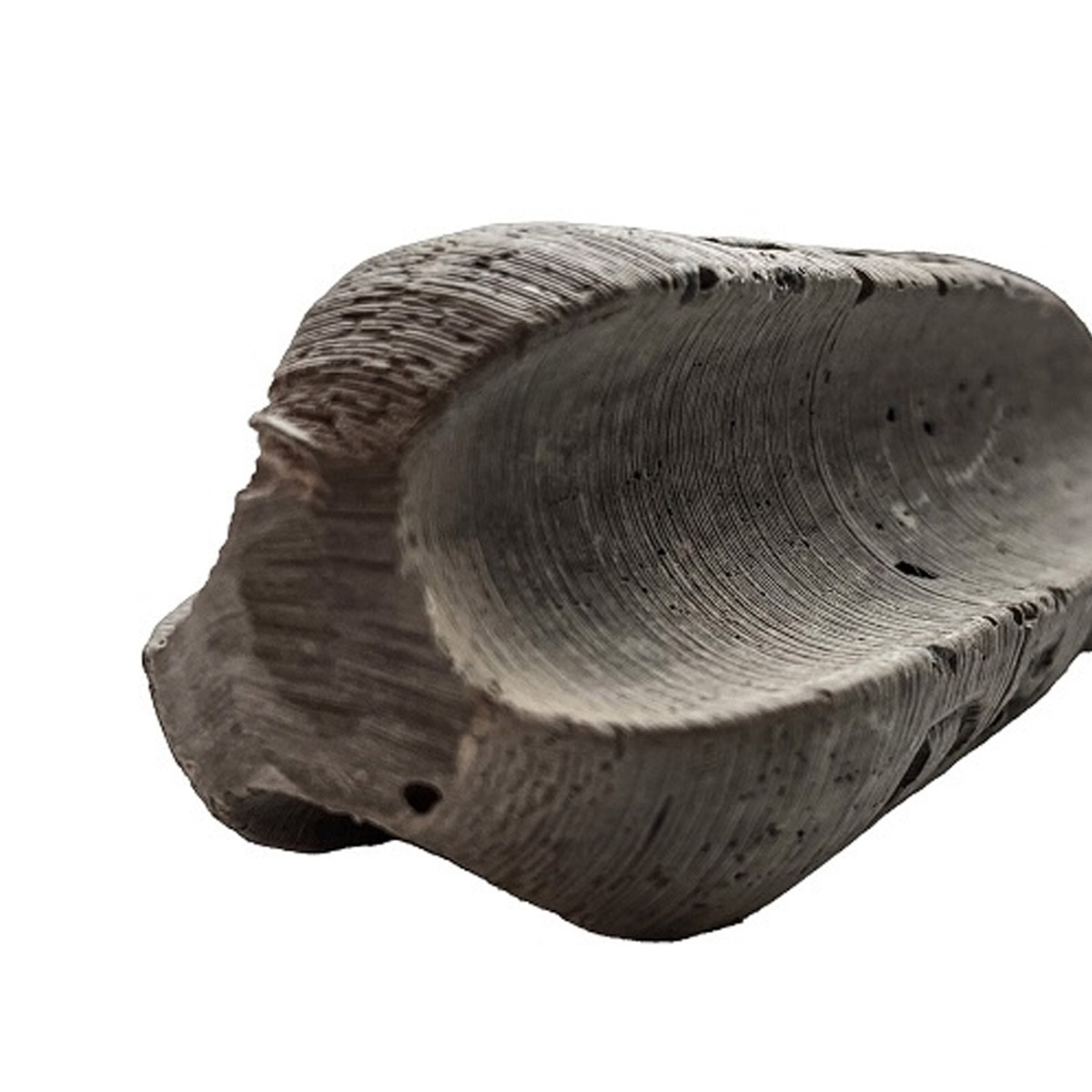 Eco Distance Pasta Sinkers Loodvrij