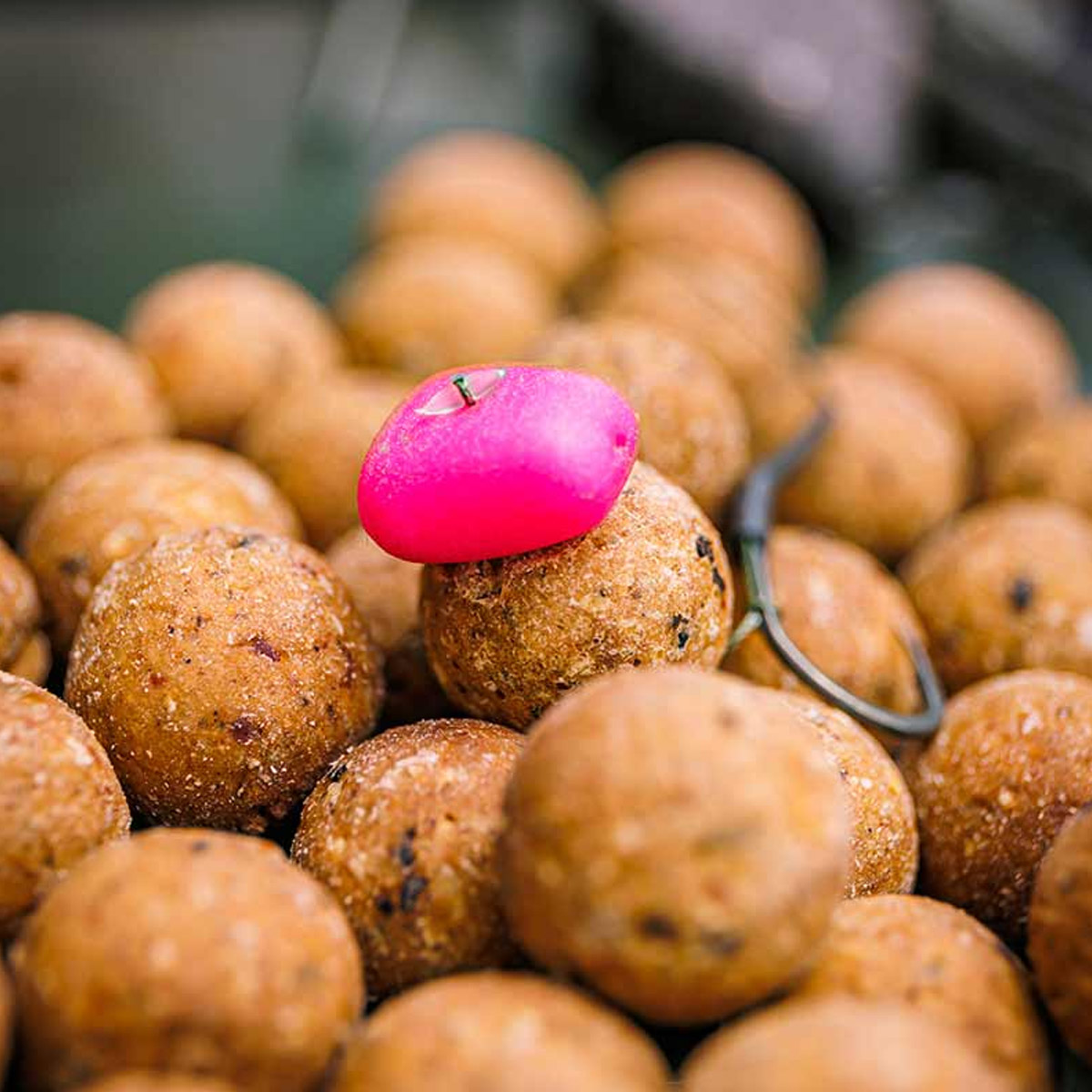 Fox Edges™ Essentials Pop-Up Corn Pink