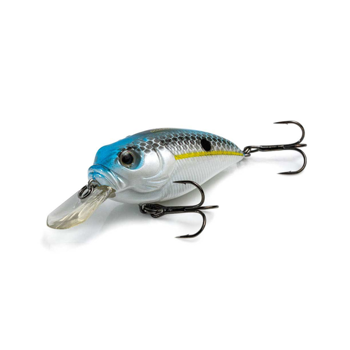 Molix Sculpo MR Rattlin