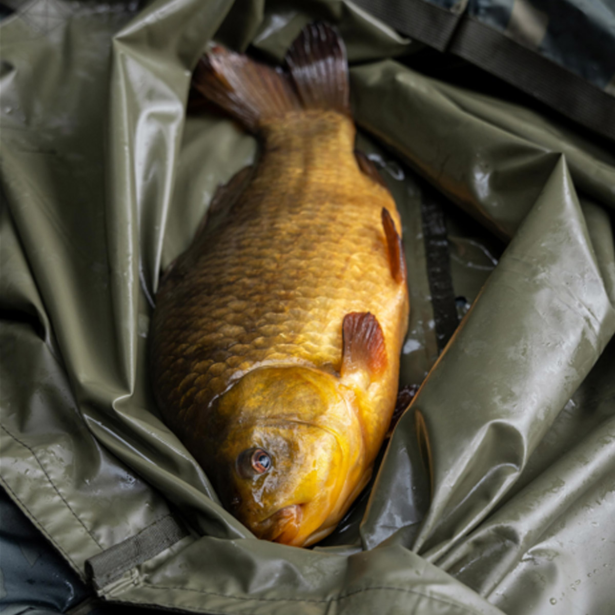 Korum Camo Fishcare Set