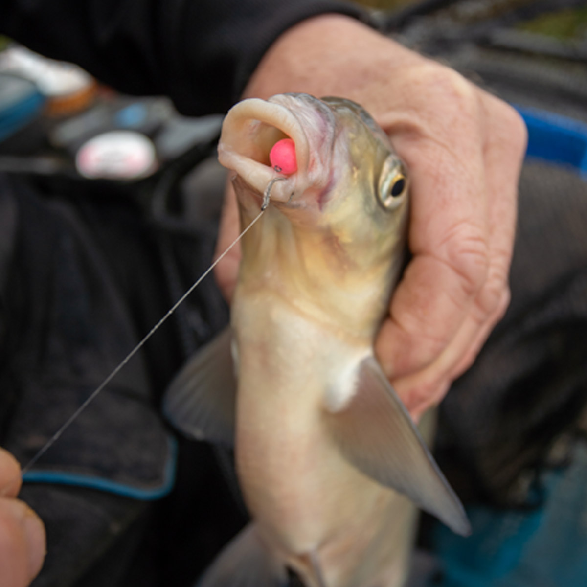 Sonubaits Spike'um Wafter Salted Caramel