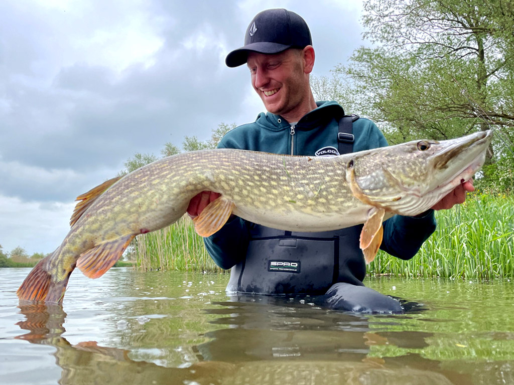 Dikke snoeken vangen door werpend te vissen op snoek