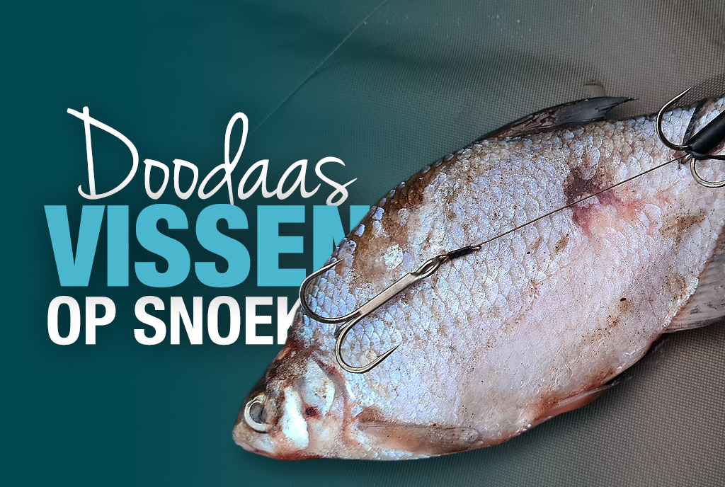 Doodaas vissen op snoek