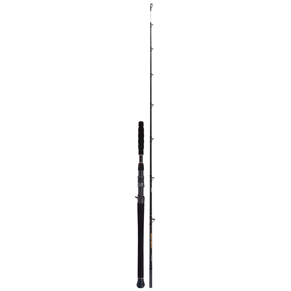 Shimano Beastmaster Catfish Vertical Casting 1,85M