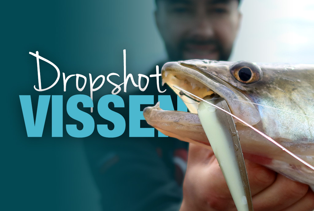 Vissen met een dropshot
