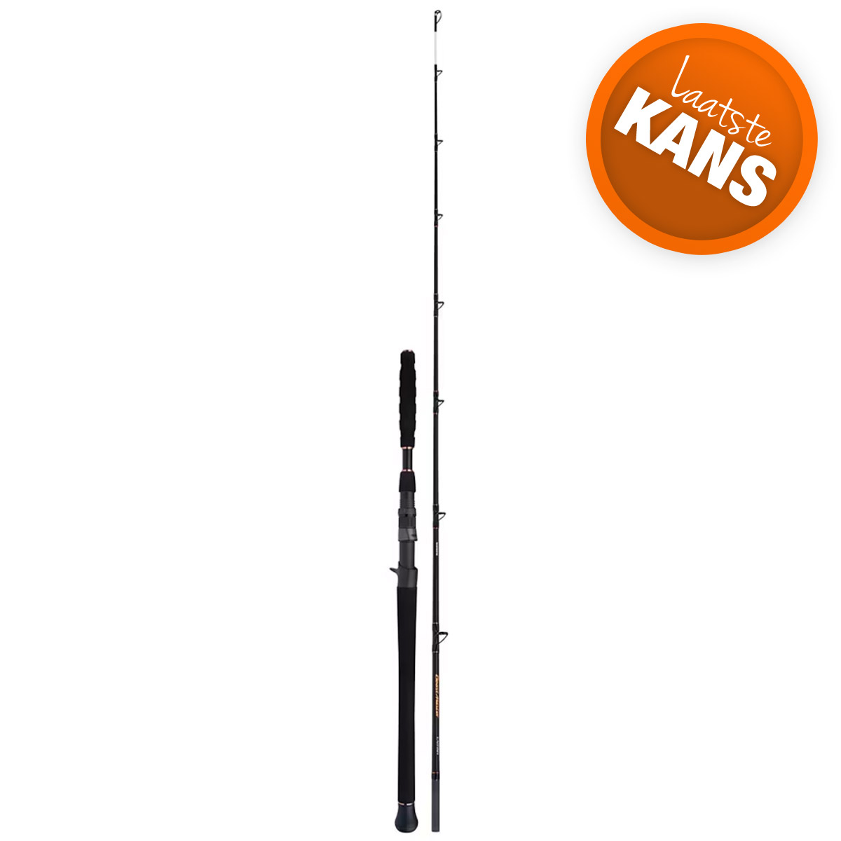 Shimano Beastmaster Catfish Vertical Casting 1,85M 200 Gram