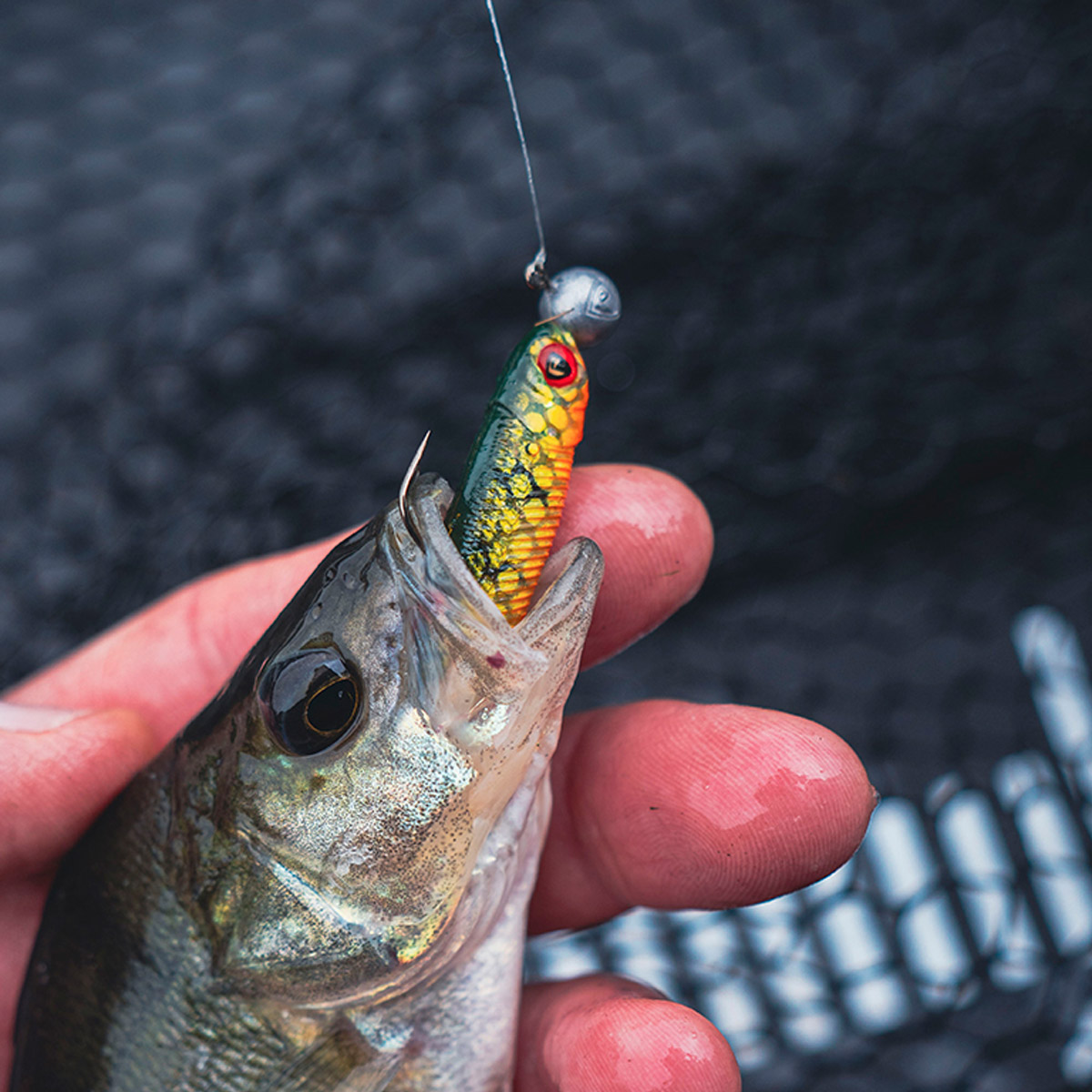 Fox Rage Mini Tiddler Mixed Colour Pack