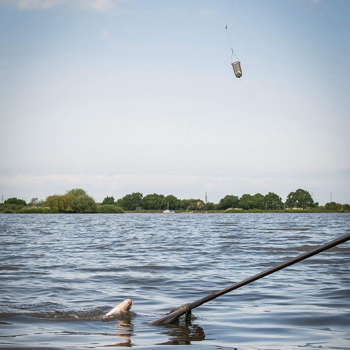 Matrix Plastic Orbit Feeders Small