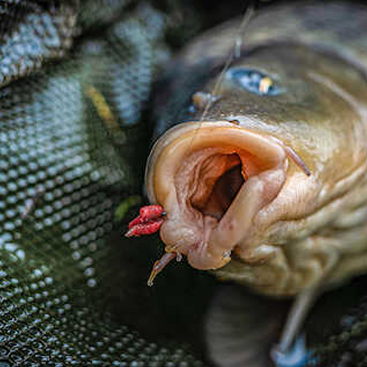 Korum Allrounder Barbed