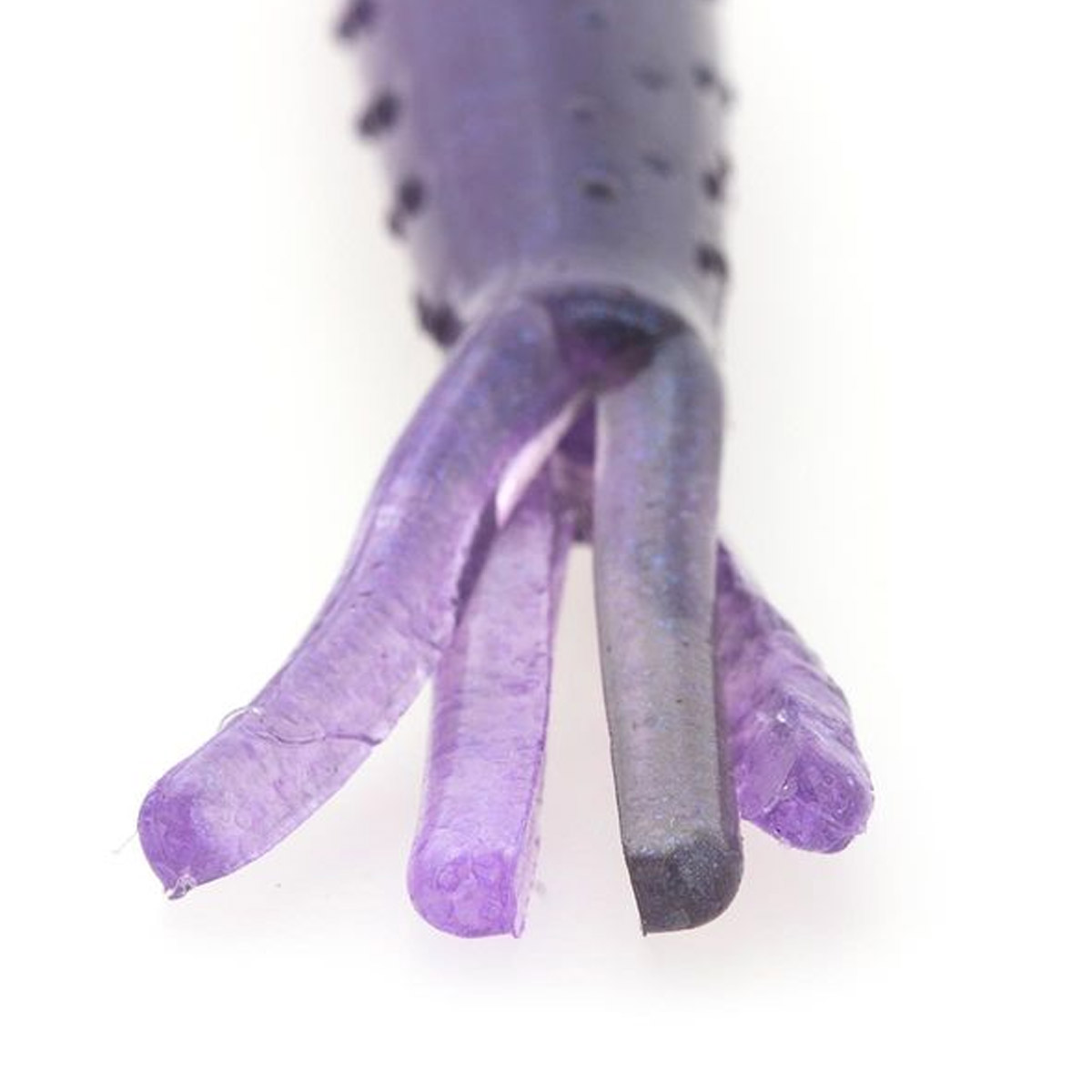 Zman 2.75" TRD TicklerZ 