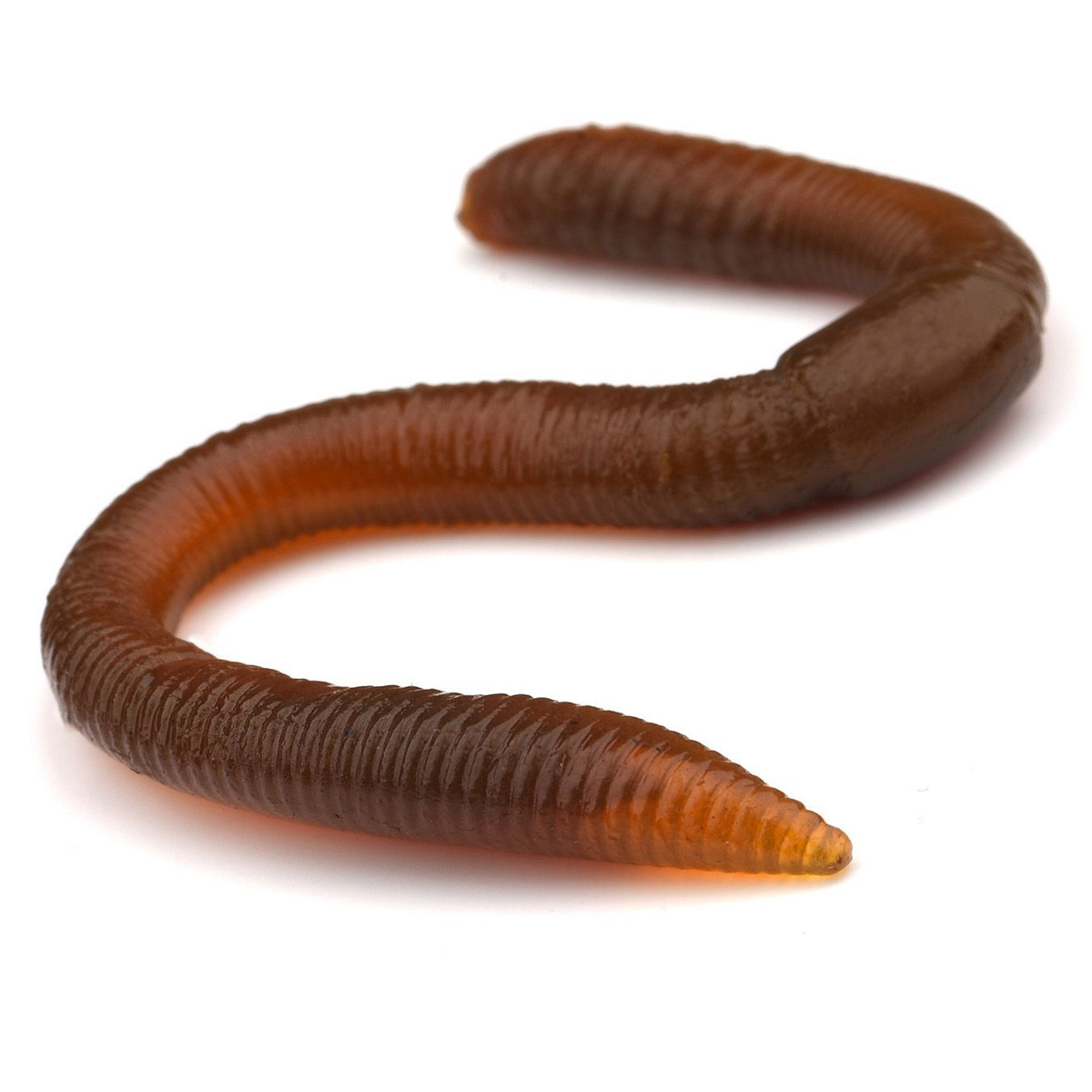 Spro FreeStyle Twitch Worm 10,6 CM