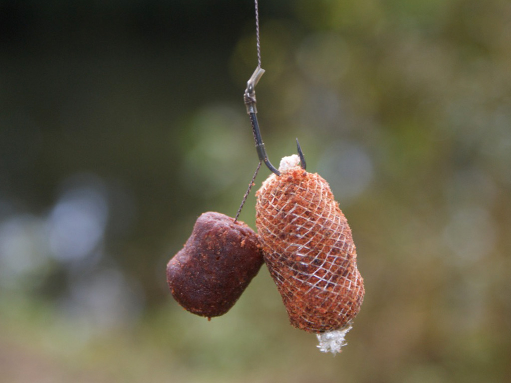 Rig voor het statisch vissen op karper