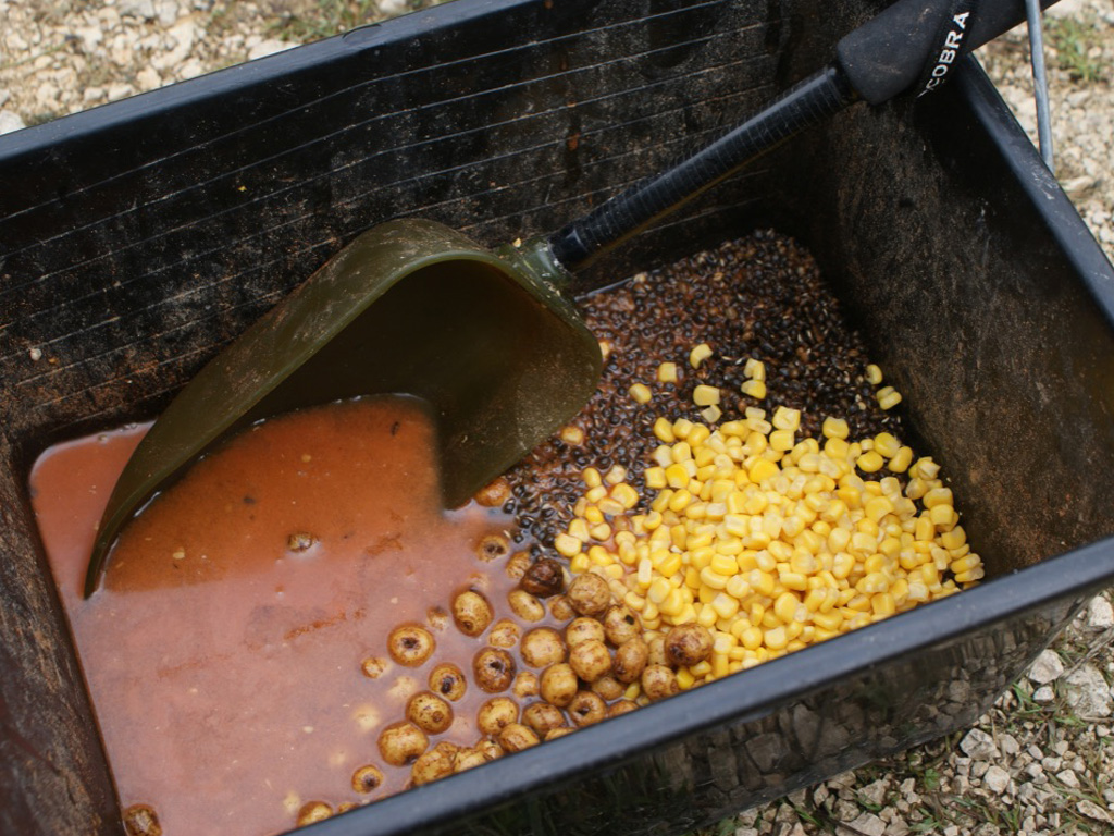 Vis met boilies en partikels op karper