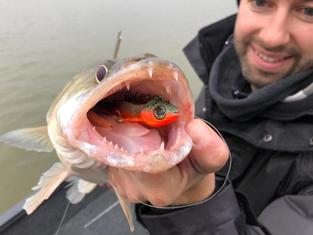 Een grote snoekbaars pelagisch gevangen