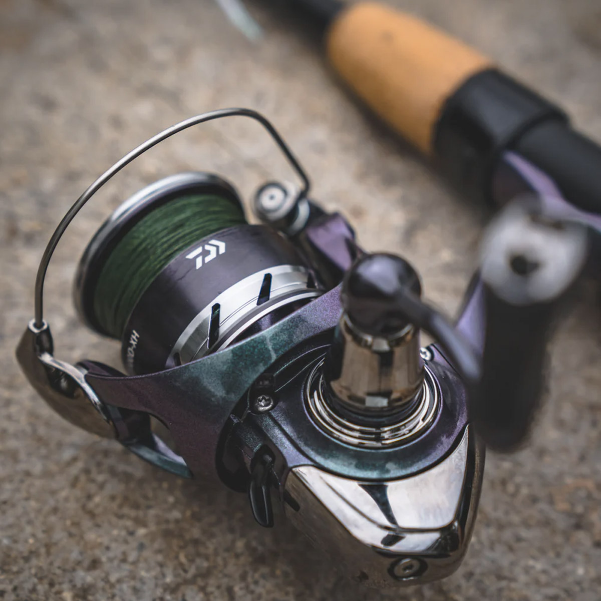 Daiwa 24 Regal LT 3000D-CXH