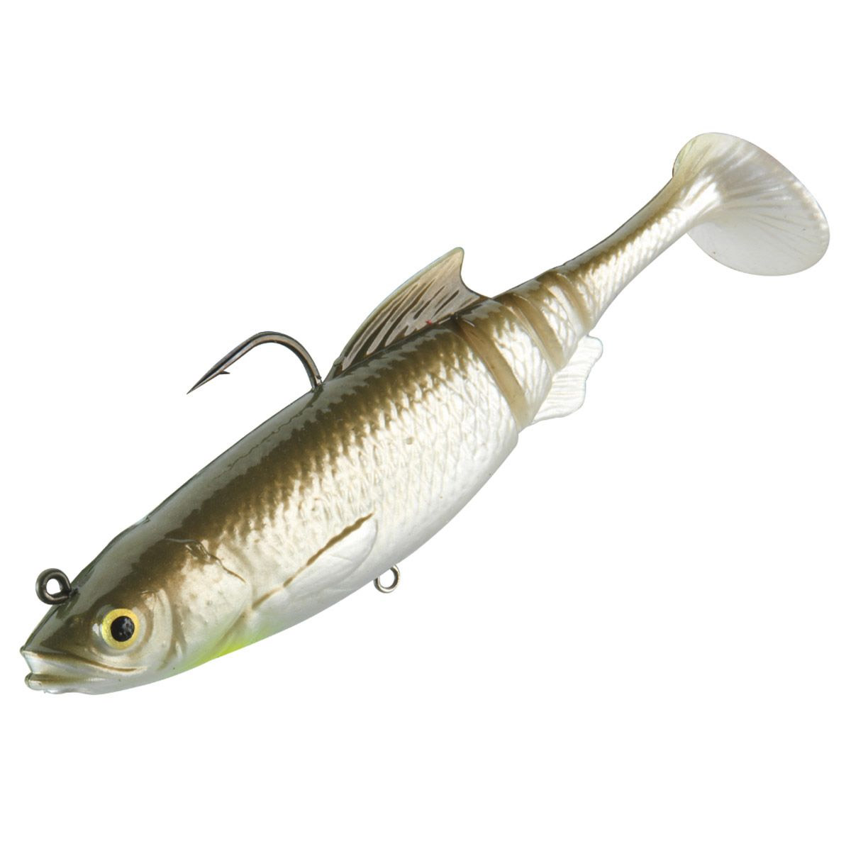 Daiwa Prorex Lazy Roach RD 16 CM