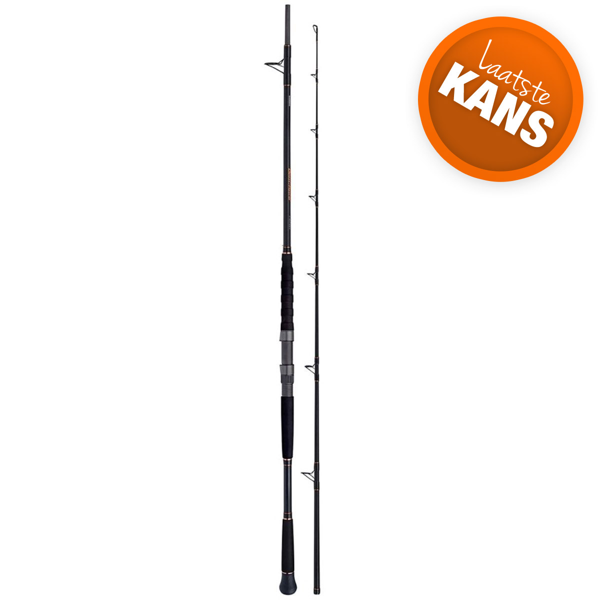 Shimano Beastmaster Catfish Static 2,80M 350 Gram