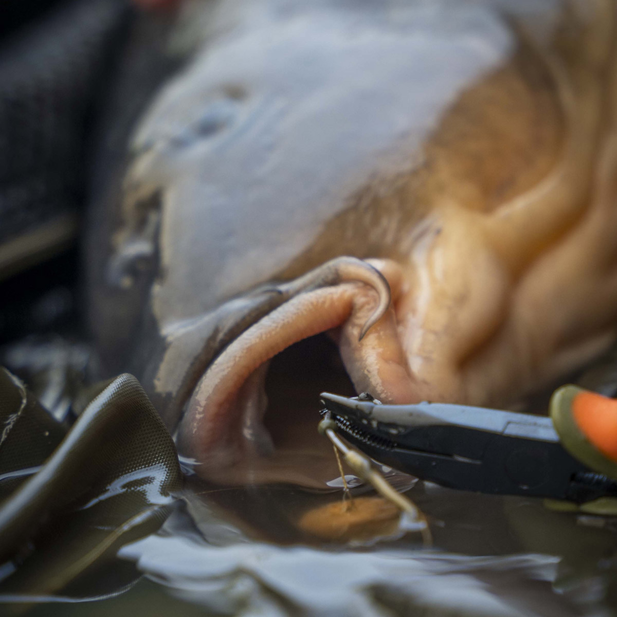 Pb Products Puller & Unhooking Pliers 13CM