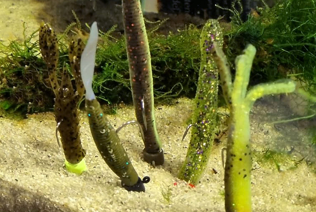 Ned Rigs staan mooi rechtop op de bodem