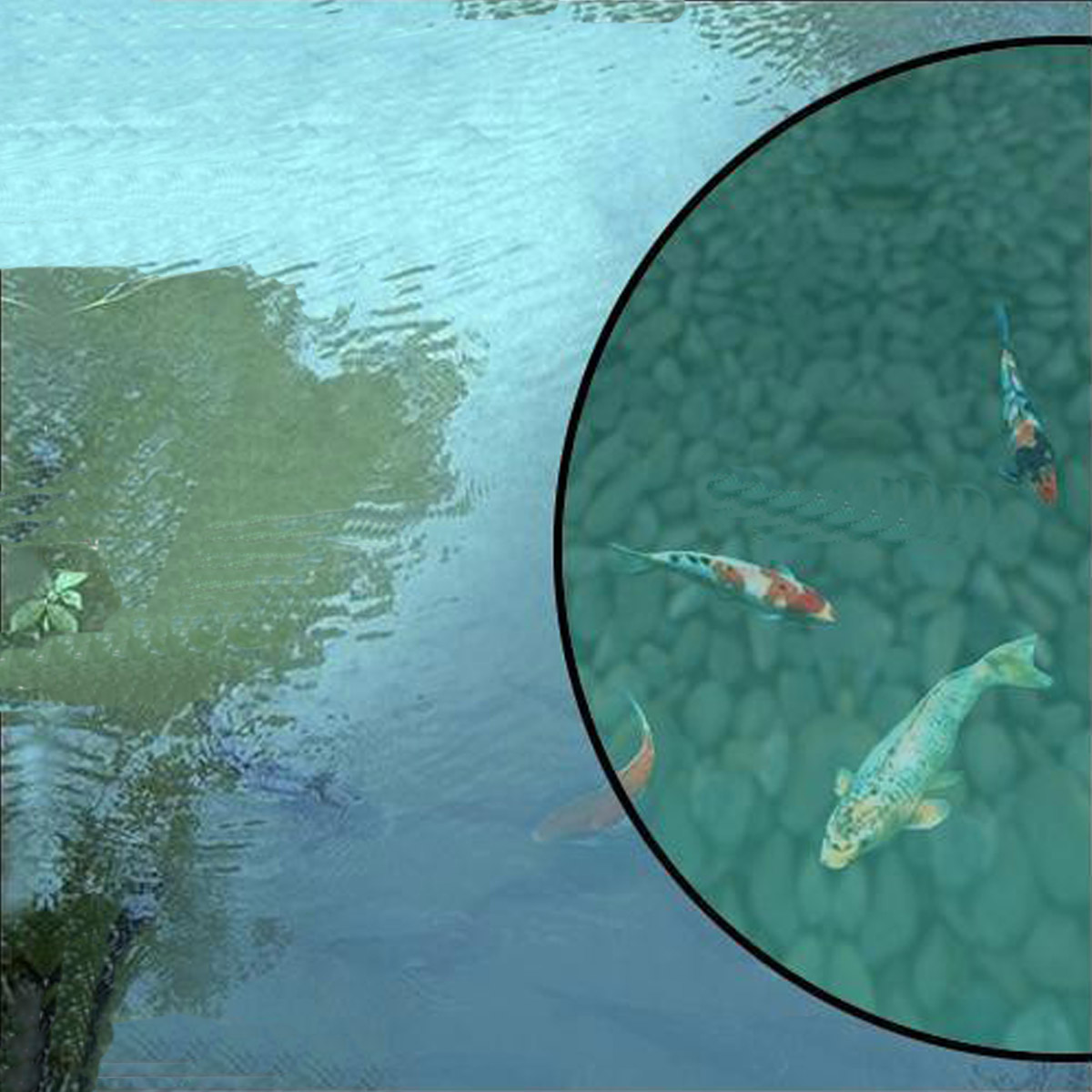 Eye Level Sunglasses Jupiter