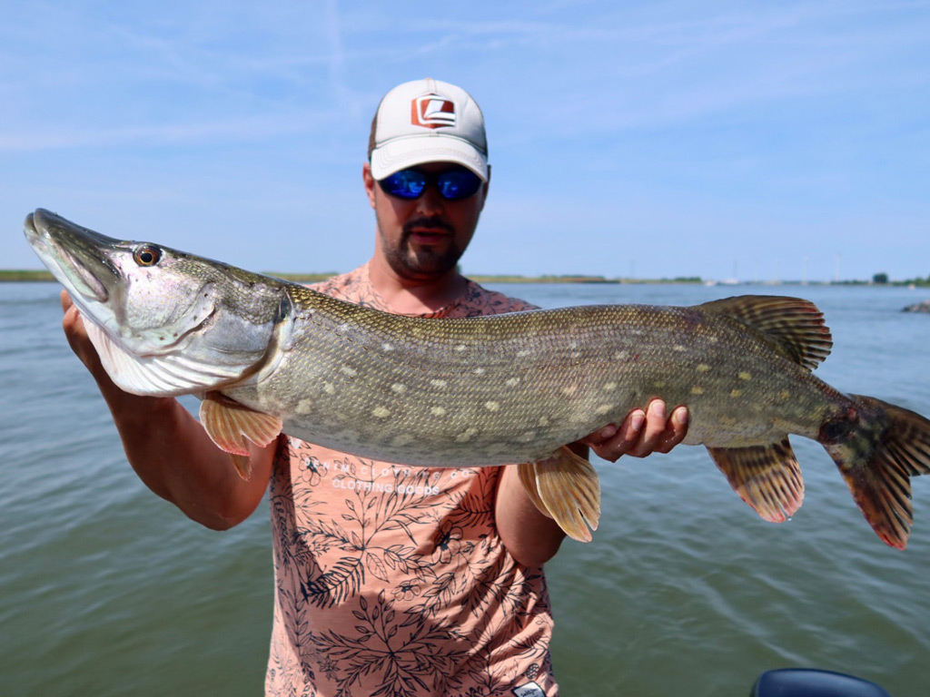 Snoeken vangen met Crankbaits