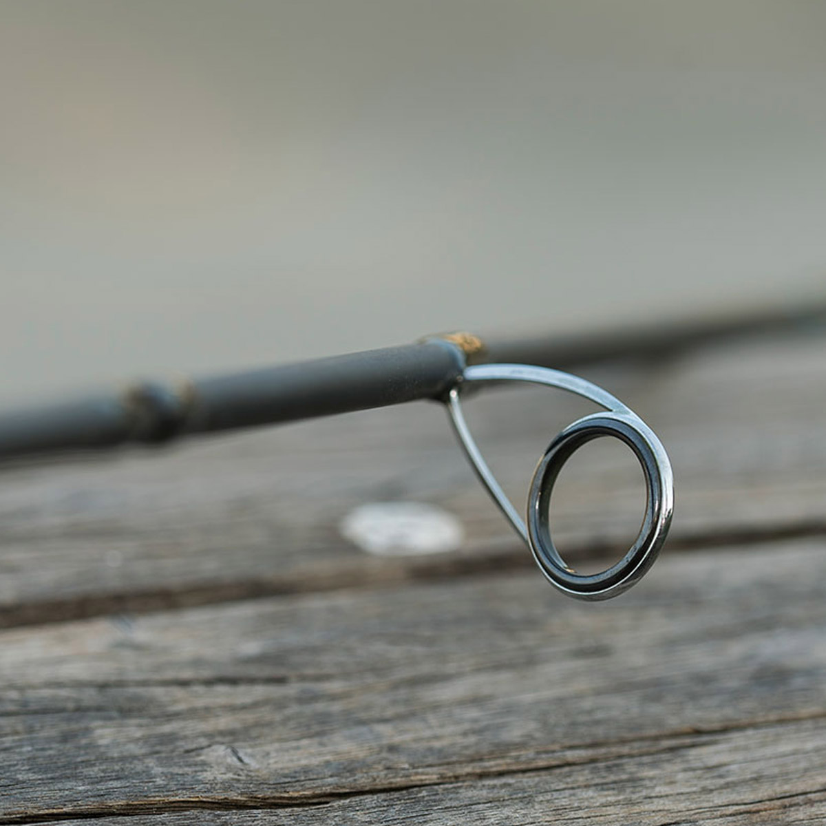 Salmo Thrill Seeker Rod