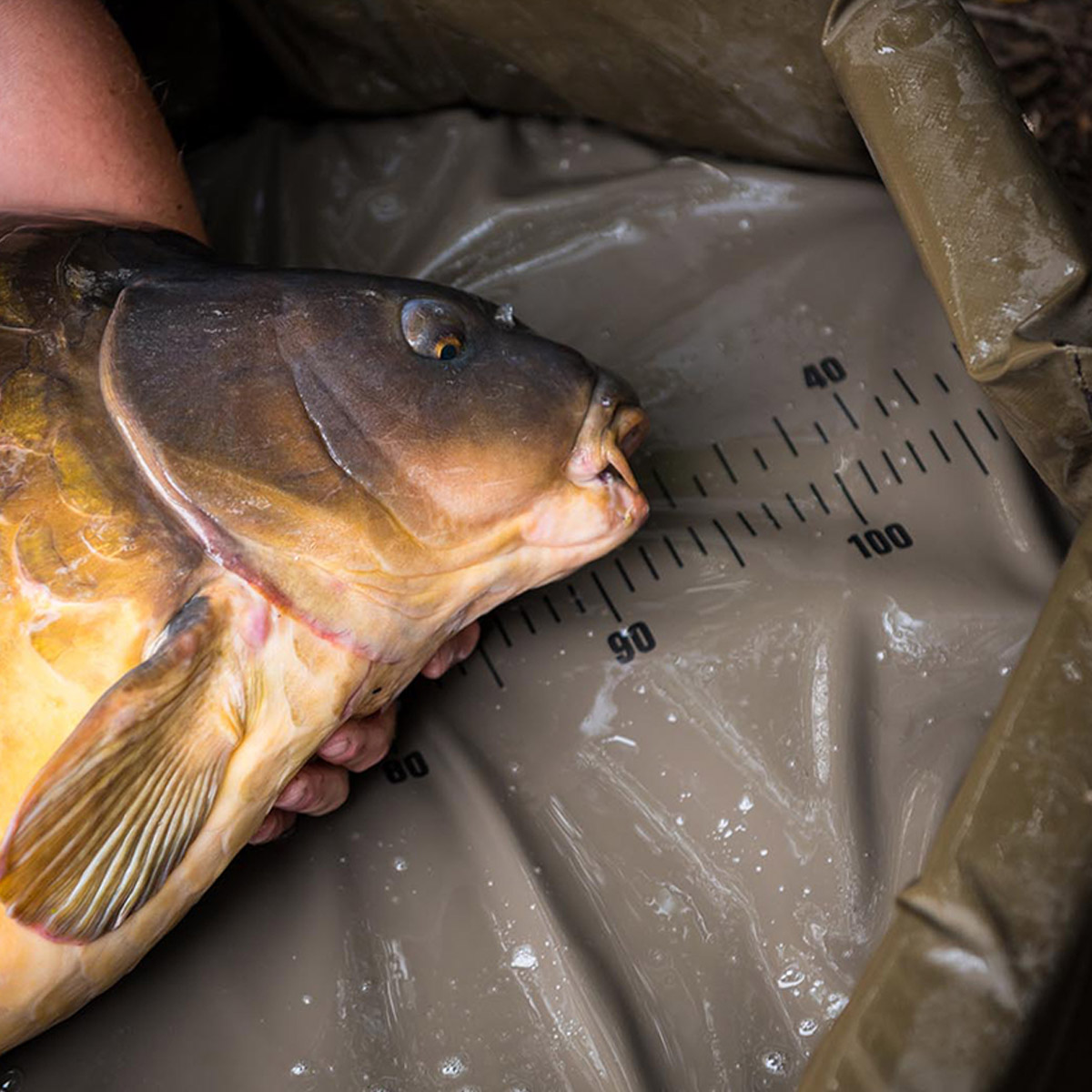Fox Carpmaster Welded Mat