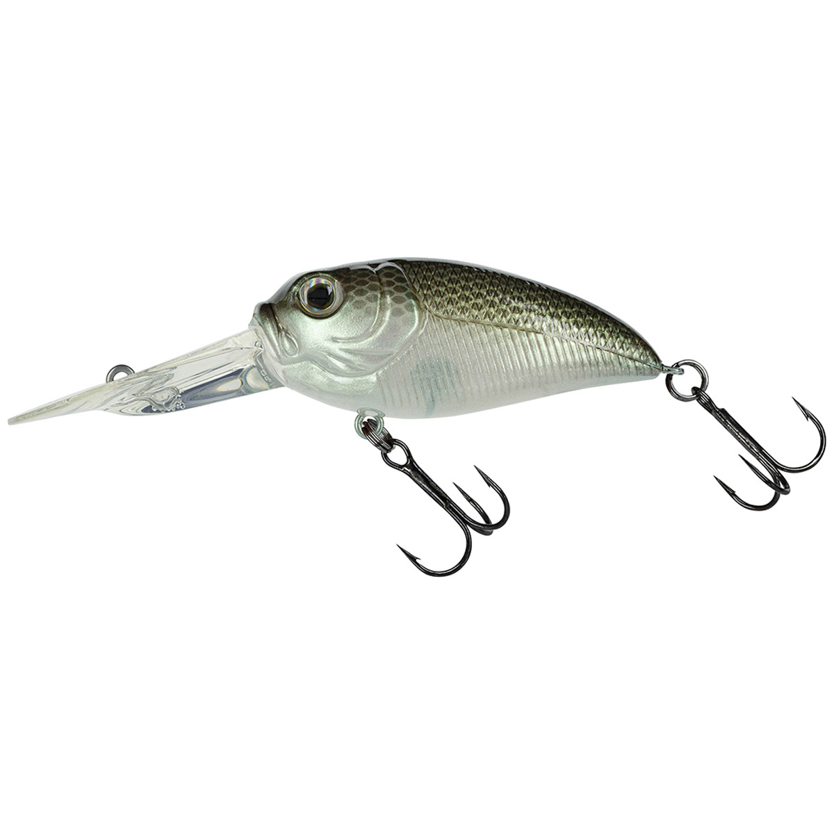 Molix Sculpo DR Rattlin