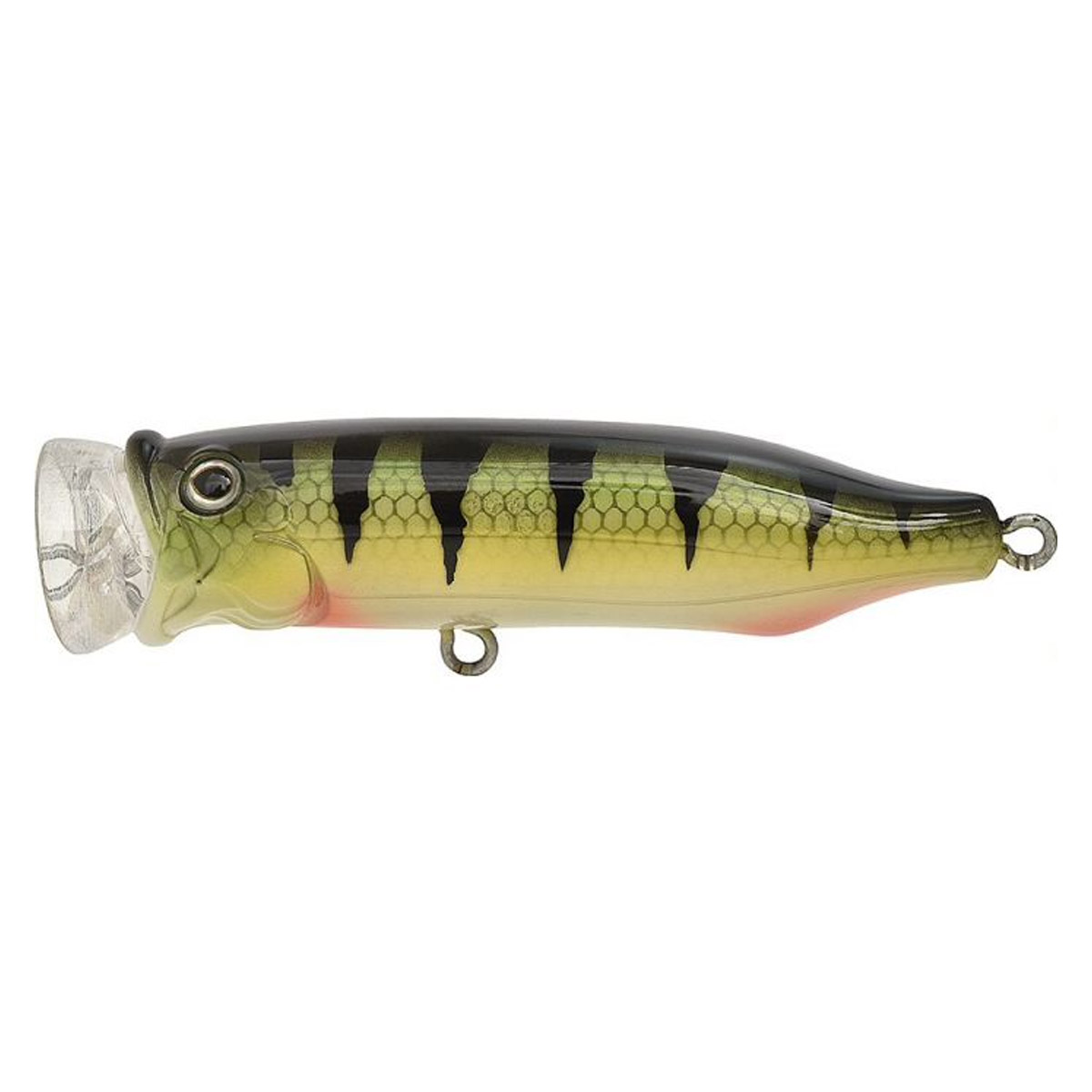 Tackle House Feed Popper 7 CM