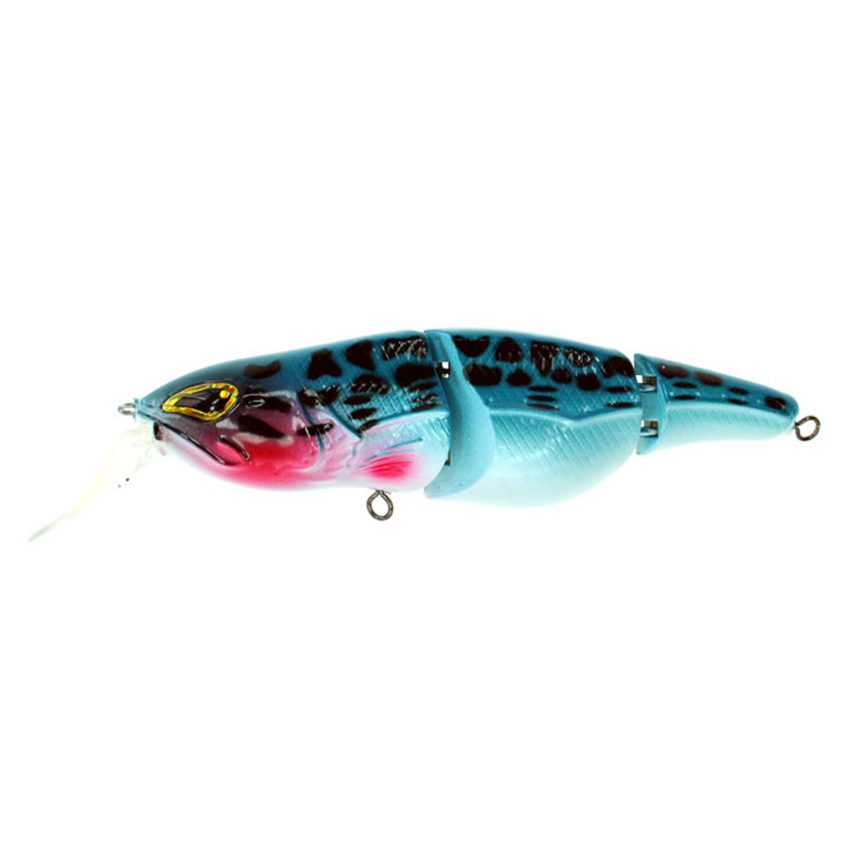 Rozemeijer Little Temptation 