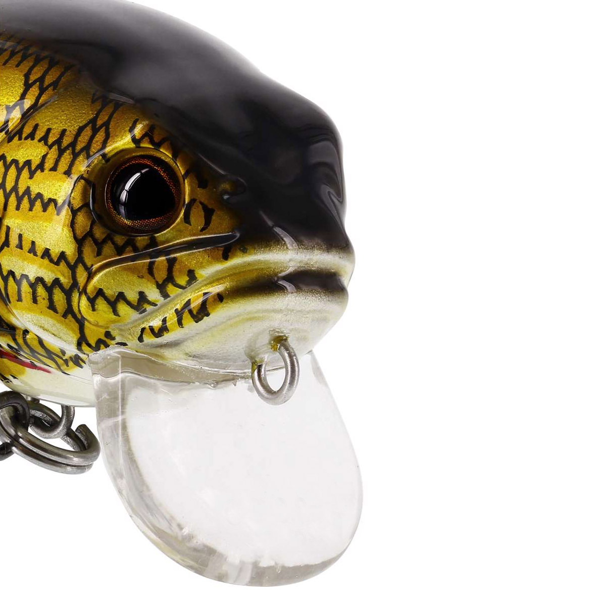 Westin FatBite Crankbait 5,5 CM