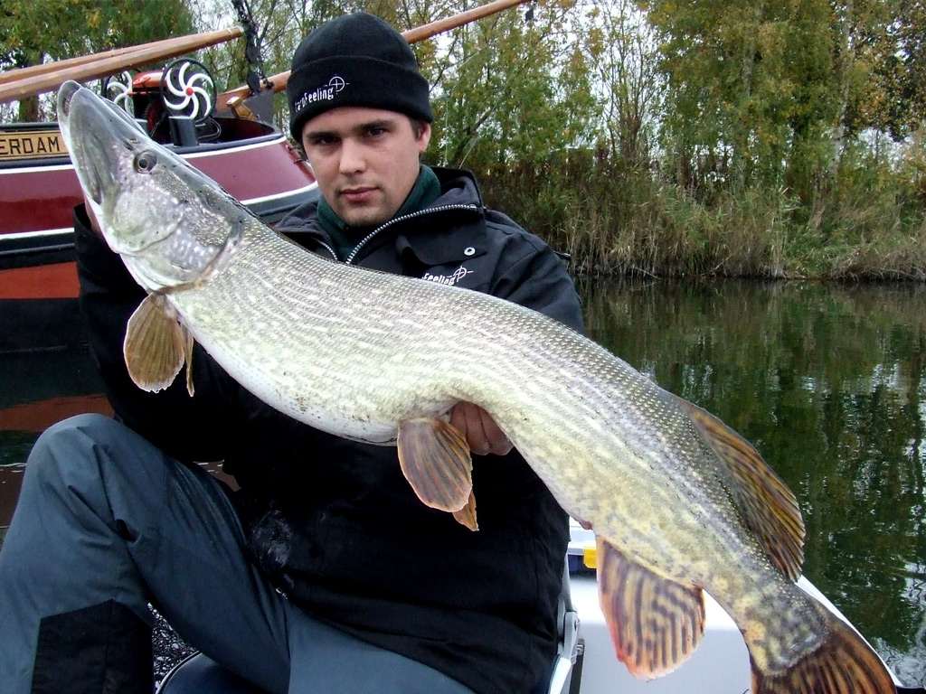 Een metersnoek gevangen met een dode aasvis