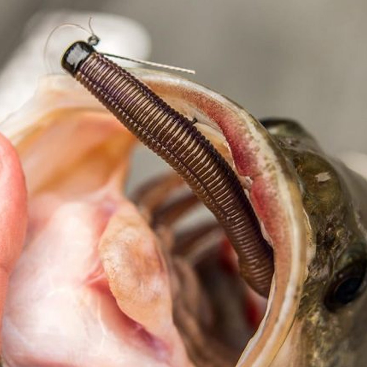 Zman Mag ShroomZ Weedless Green Pumpkin 10,5 Gram