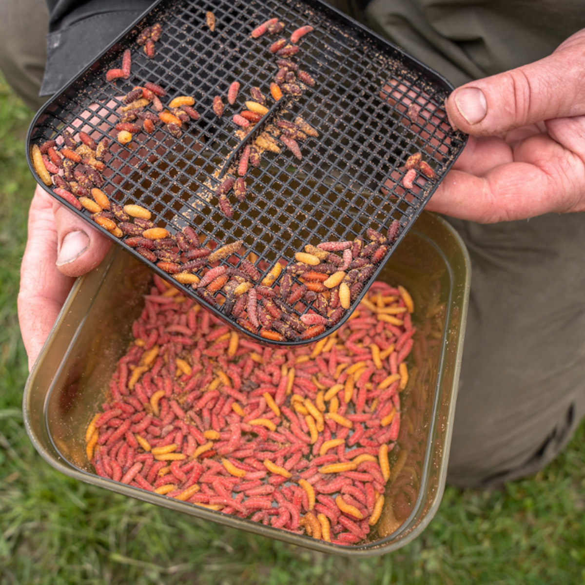 Korum Maggot Tub And Riddle