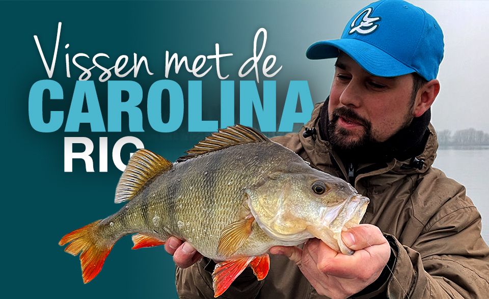 De Carolina rig: Hoe maak je hem en hoe vis je ermee?